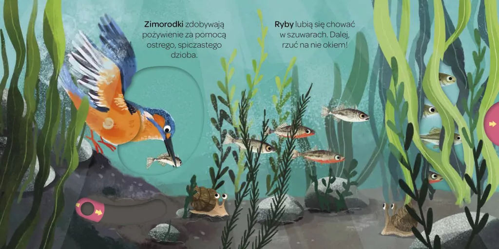 Nad rzeką. Młodzi przyrodnicy - tantis.pl