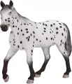 Figurka Koń Appaloosa ogier - tantis.pl