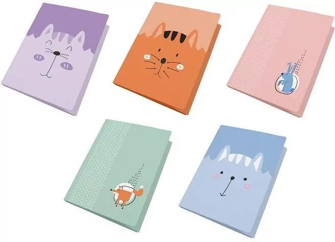 Teczka foliowana A4 z gumką Kids pastel - tantis.pl