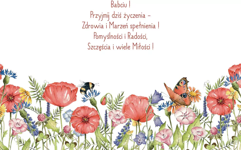 Karnet B6 Łąka Babcia - tantis.pl