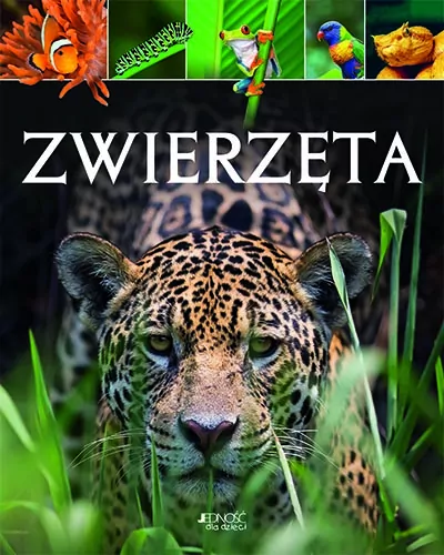 Zwierzęta - tantis.pl