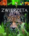 Zwierzęta - tantis.pl