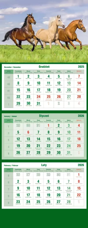 Kalendarz trójdzielny 2026 MiP Konie - tantis.pl