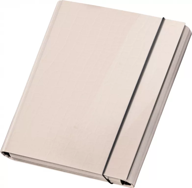 TECZKA Z GUMKA A4 SKRZYD PASTELOVE BEZ VPE 1/12 - tantis.pl