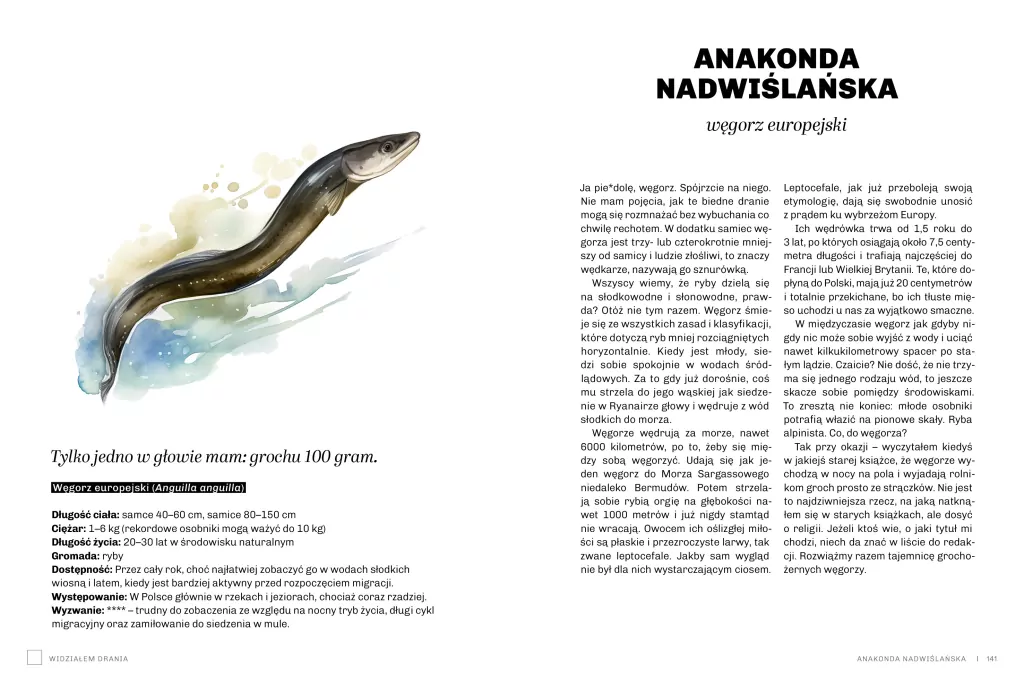 Głupie zwierzęta Polski i jak je znaleźć. Przewodnik świadomego obserwatora - tantis.pl