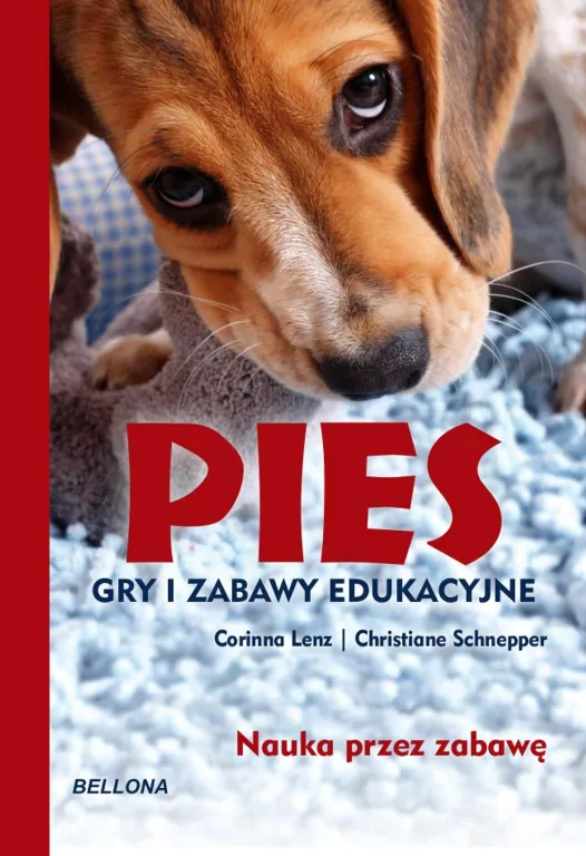 Pies. Gry i zabawy edukacyjne - tantis.pl