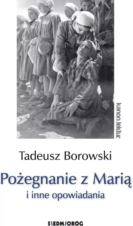 Pożegnanie z Marią i inne opowiadania. Kanon lektur - tantis.pl