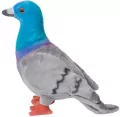 Gołąb miejski 20cm - tantis.pl