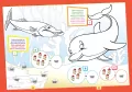 Super kolorki. Delfiny - tantis.pl