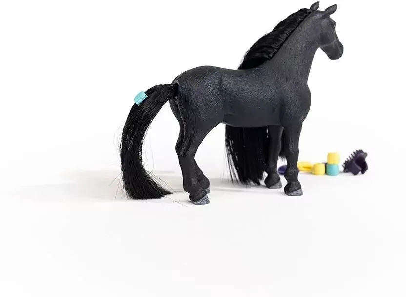 Piękna klacz. Criollo Definitivo - tantis.pl