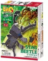 Klocki edukacyjne Stag Beetle - tantis.pl