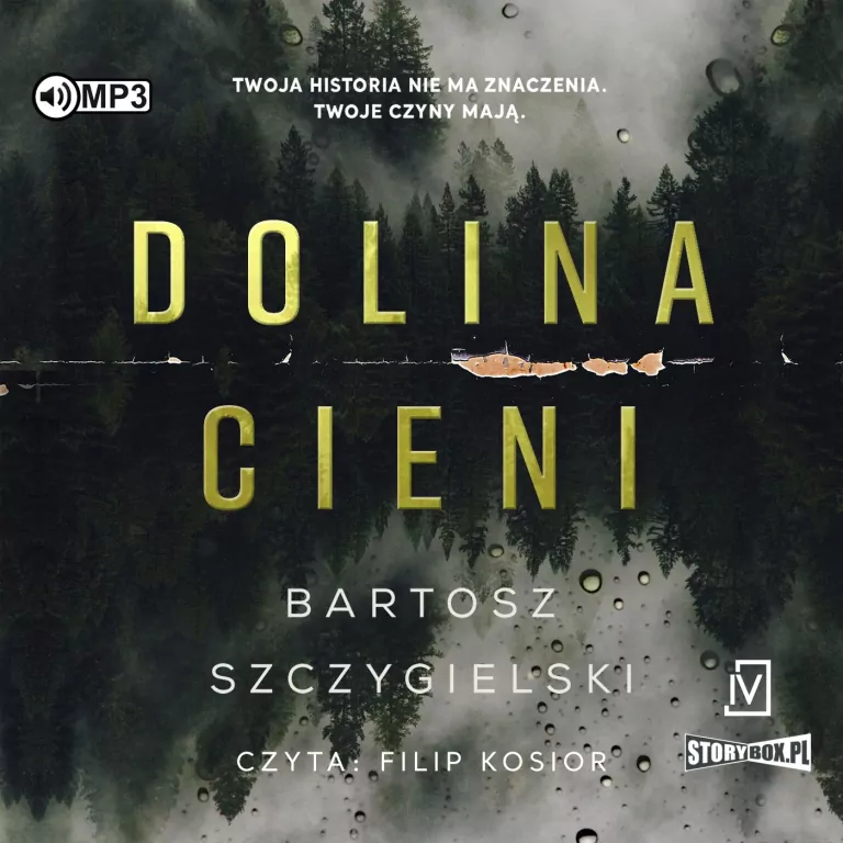 Dolina cieni. Audiobook - tantis.pl