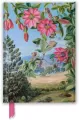 Notatnik A5 linia TW Widok w ogrodzie Kew Gardens - tantis.pl