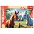 Puzzle 200 Konie na polanieTREFL - tantis.pl