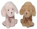 Pies 25cm MIX - tantis.pl