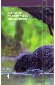 Pałace na wodzie. Tropem polskich bobrów