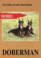 Doberman - tantis.pl