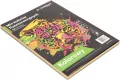 Papier ksero kolory fluorescencyjne A4 100 arkuszy (4 kolory po 25 arkuszy) - tantis.pl