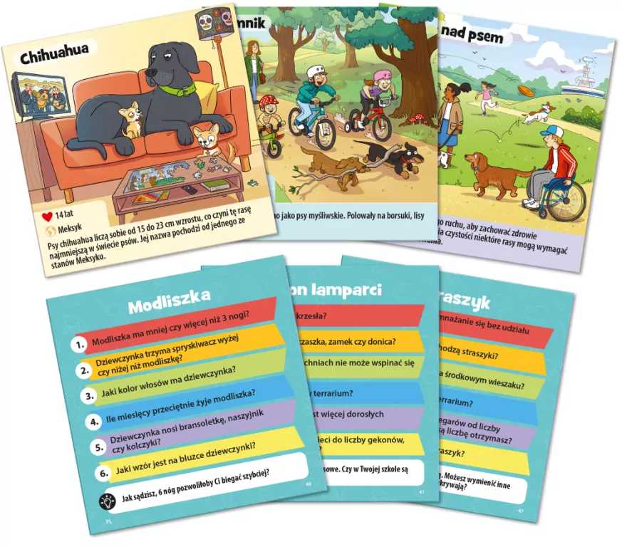 BrainBox. Zwierzęta domowe - tantis.pl