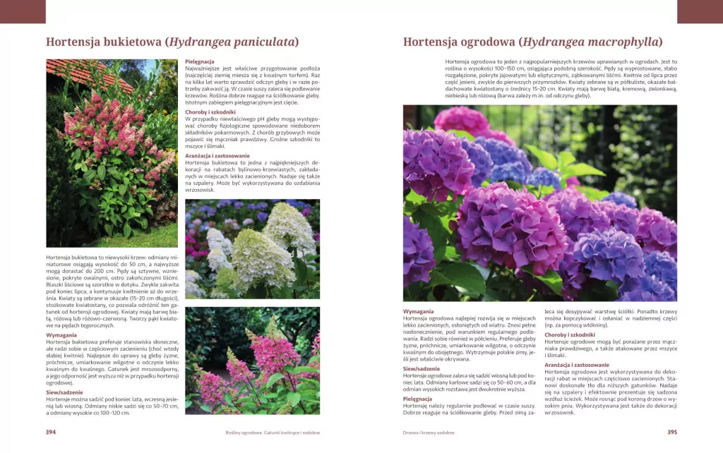 Rośliny ogrodowe. Gatunki kwitnące i ozdobne - tantis.pl