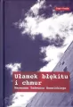 Ułamek błękitu i chmur TW - tantis.pl