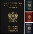 Okładka na paszport - tantis.pl
