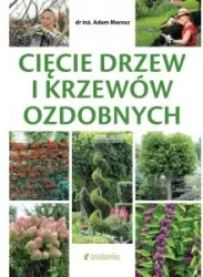 Cięcie drzew i krzewów ozdobnych
