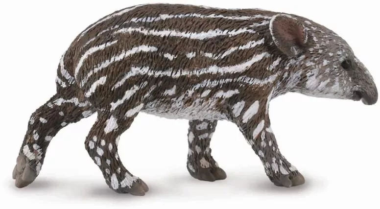 Collecta. Tapir cielę bairda - tantis.pl