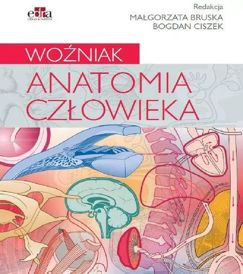 Anatomia człowieka. Woźniak - tantis.pl