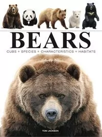 Bears - tantis.pl