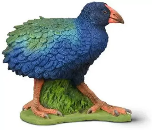 Takahe południowy - tantis.pl