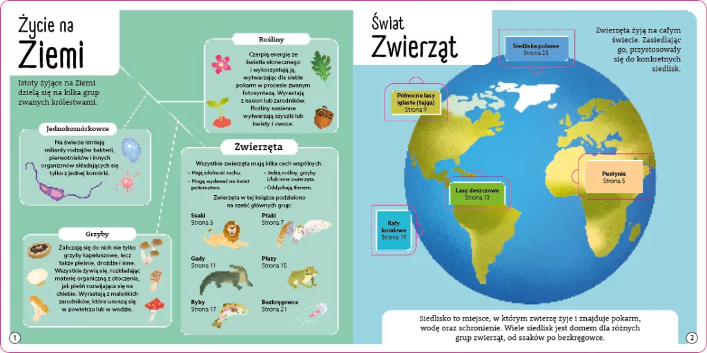 Otwórz okienko. Wspaniałe zwierzęta - tantis.pl