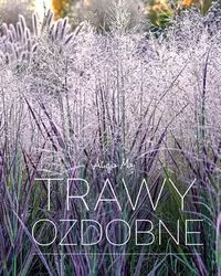 Trawy ozdobne - tantis.pl