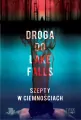 Droga do Lake Falls. Szepty w ciemnościach. Lake Falls. Tom 3 - tantis.pl