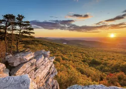 Kalendarz trójdzielny 2021 MiP