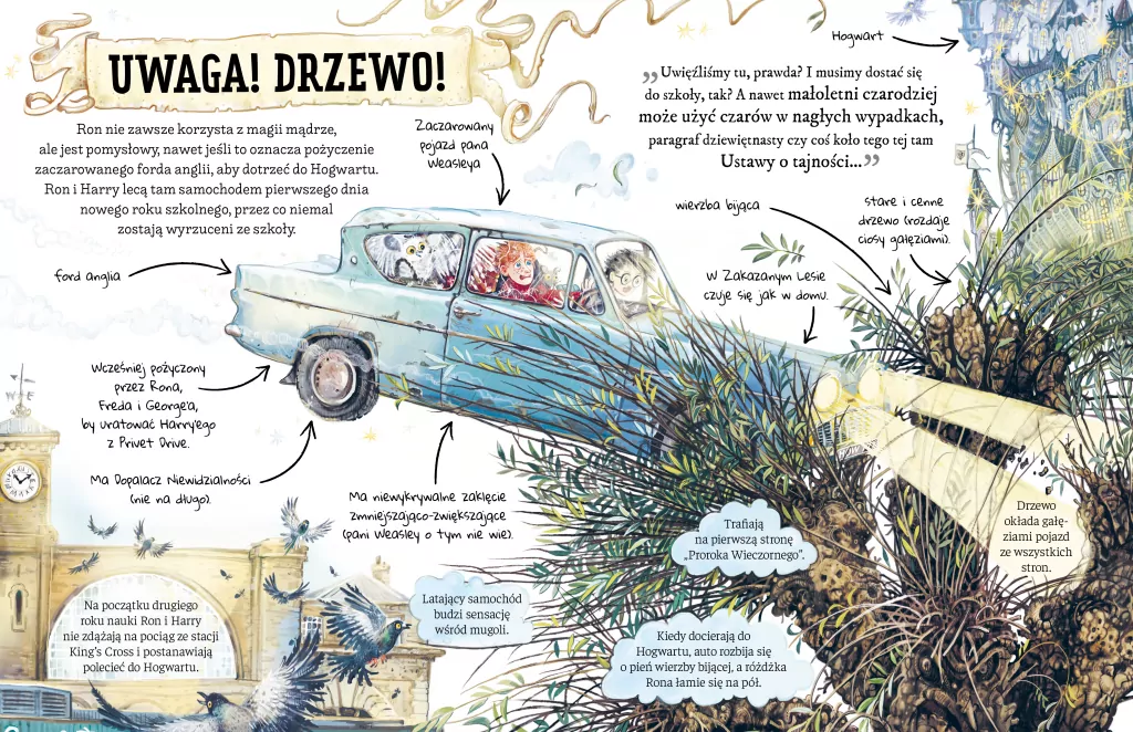 Ron Weasley. Mały potterownik. Przewodnik po serii Harry Potter - tantis.pl