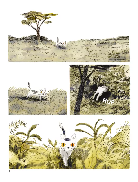 Kocina. Zapiski z Doliny - tantis.pl