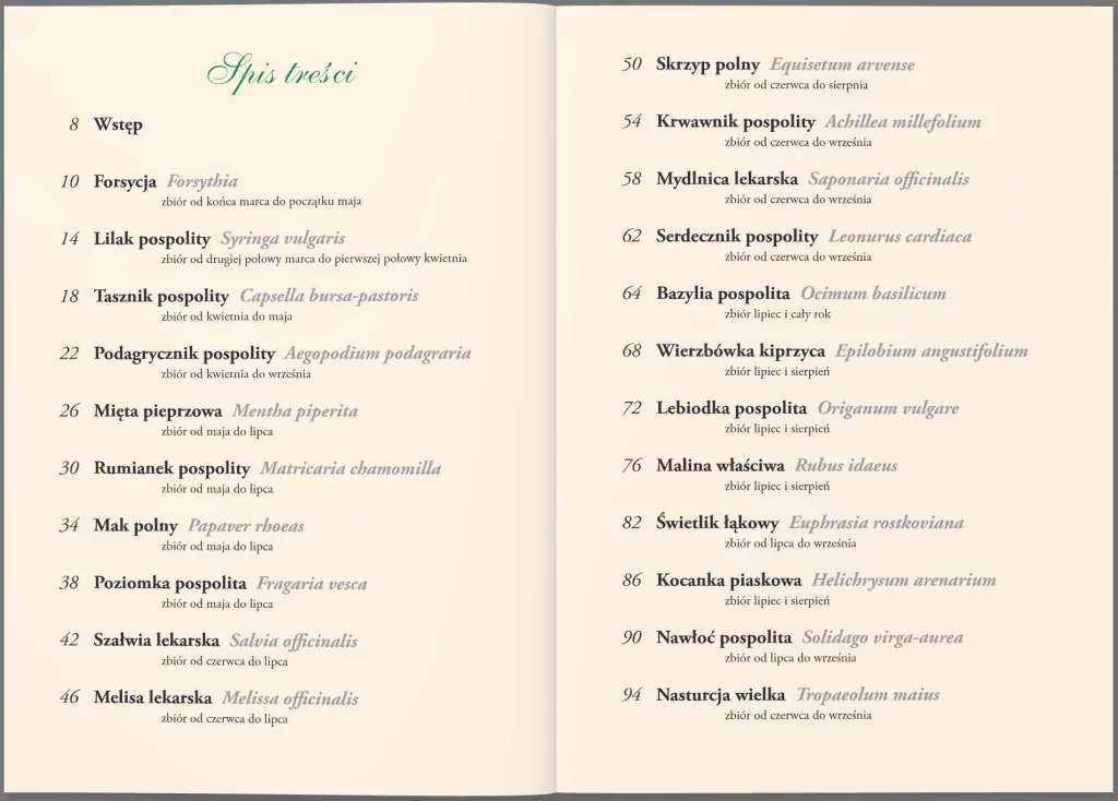 Zioła, nalewki, syropy i inne przepisy - tantis.pl