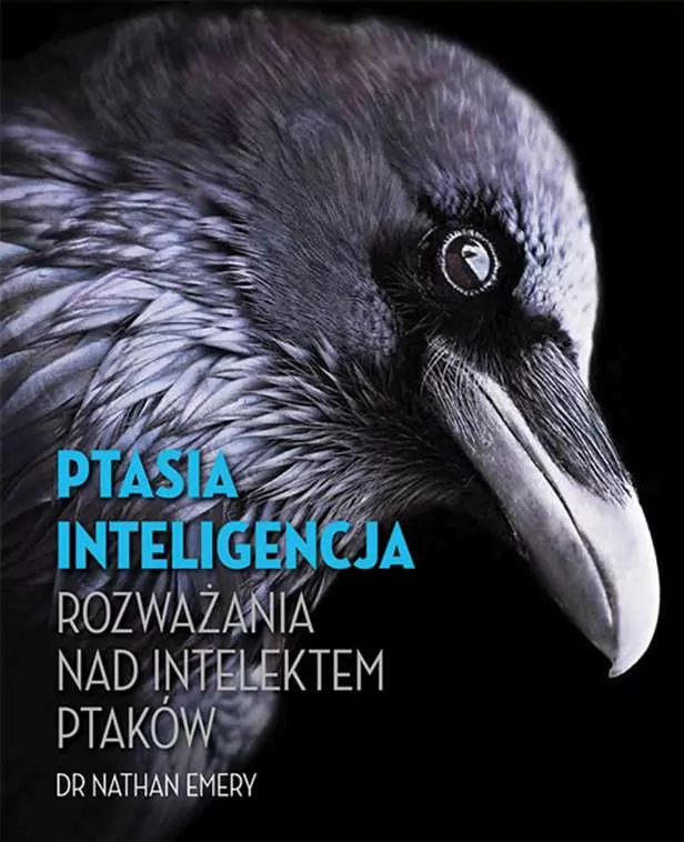 Ptasia inteligencja - tantis.pl