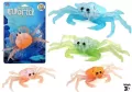 Zwierzęta morskie miękkie krab mix - tantis.pl