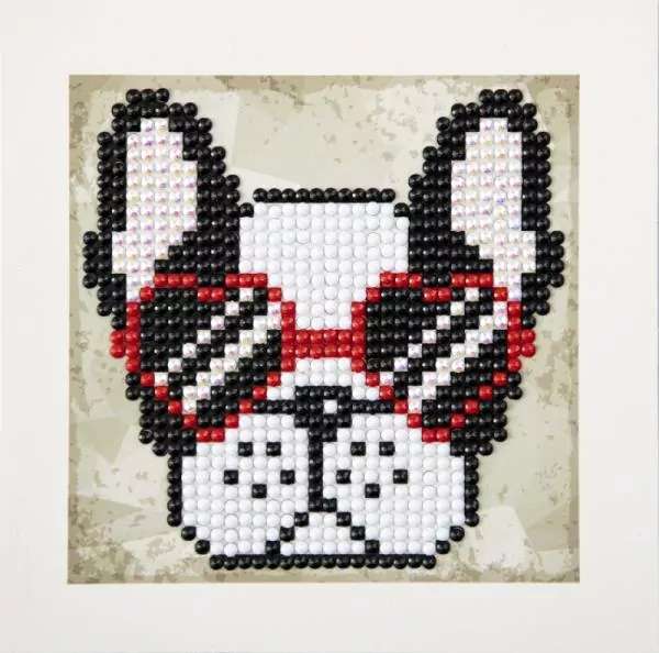 Zestaw kreatywny. Diamond Dotz Quick. Cool Sunnies - tantis.pl