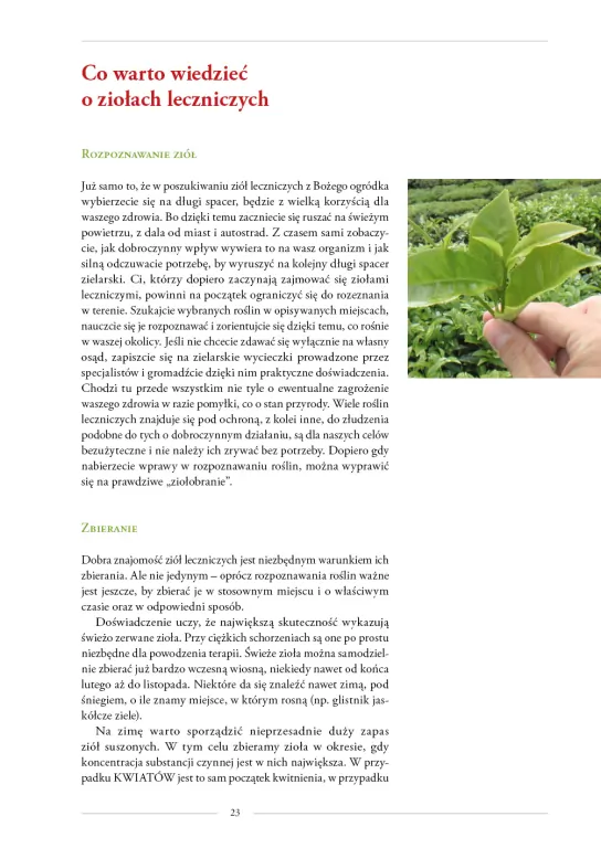 Moje rośliny lecznicze - tantis.pl
