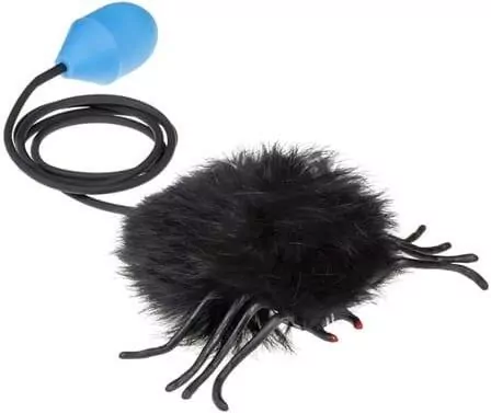 Skaczący pająk. Czarny - tantis.pl