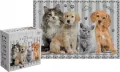Puzzle 250 Puppy Sign 4 - tantis.pl