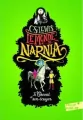 Monde de Narnia 3 Cheval et son écuyer - tantis.pl