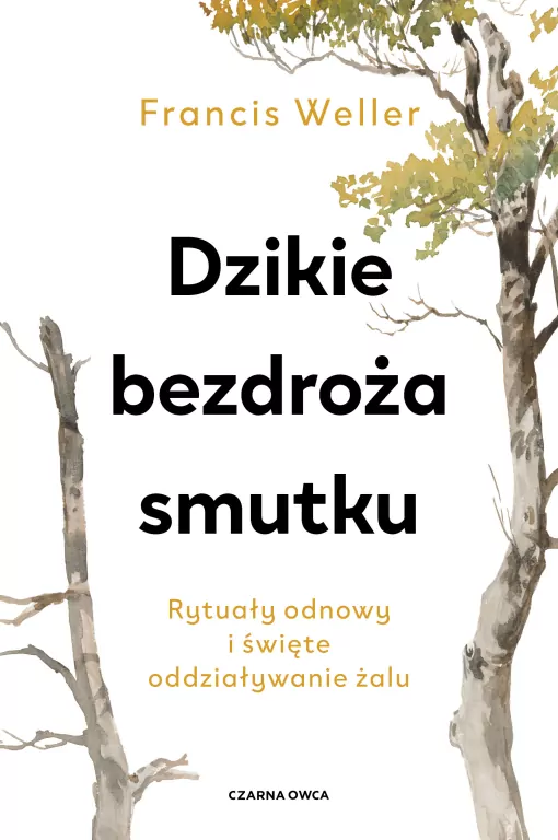 Dzikie bezdroża smutku. Rytuały odnowy i święte... - tantis.pl
