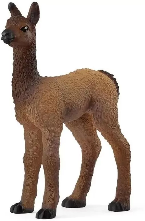 Lama mała - tantis.pl