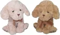 Pies 20cm MIX - tantis.pl