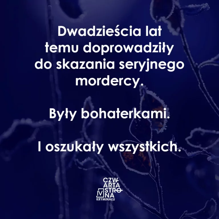 W gąszczu kłamstw - tantis.pl