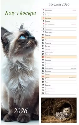 Kalendarz 2026 ścienny pasek Koty i kocięta
